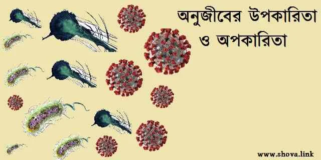 অনুজীবের উপকারিতা ও অপকারিতা