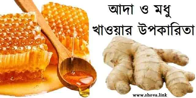 আদা ও মধু খাওয়ার উপকারিতা