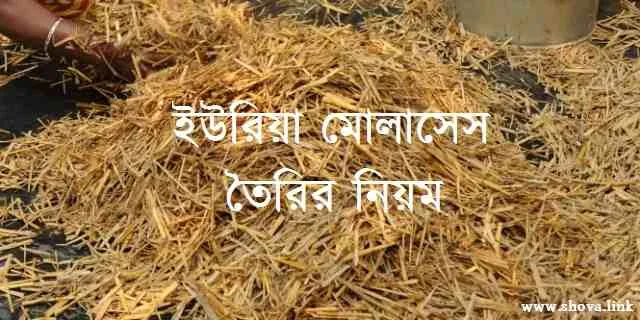 ইউরিয়া মোলাসেস তৈরির নিয়ম