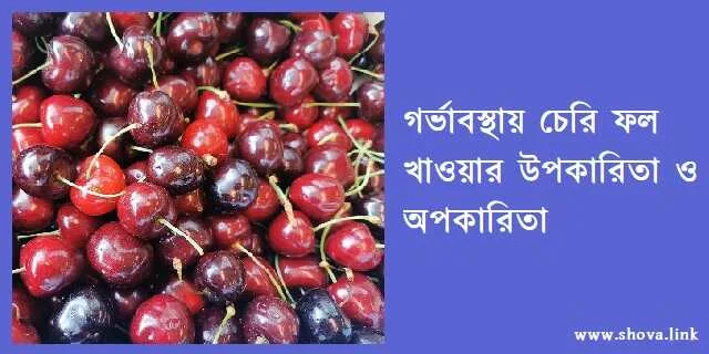 গর্ভাবস্থায় চেরি ফল খাওয়ার উপক