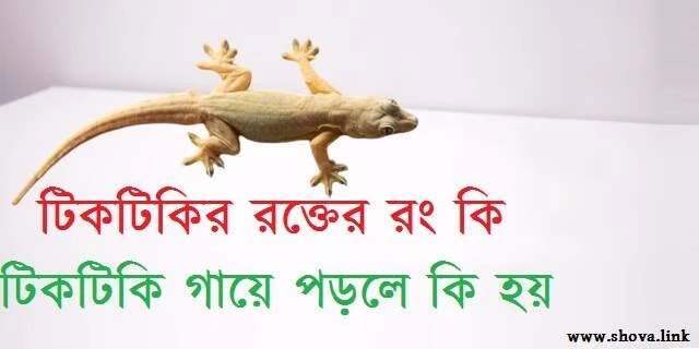 টিকটিকির রক্তের রং কি