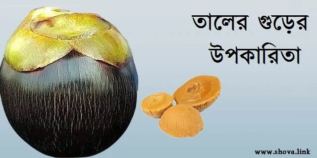 তালের গুড়ের উপকারিতা
